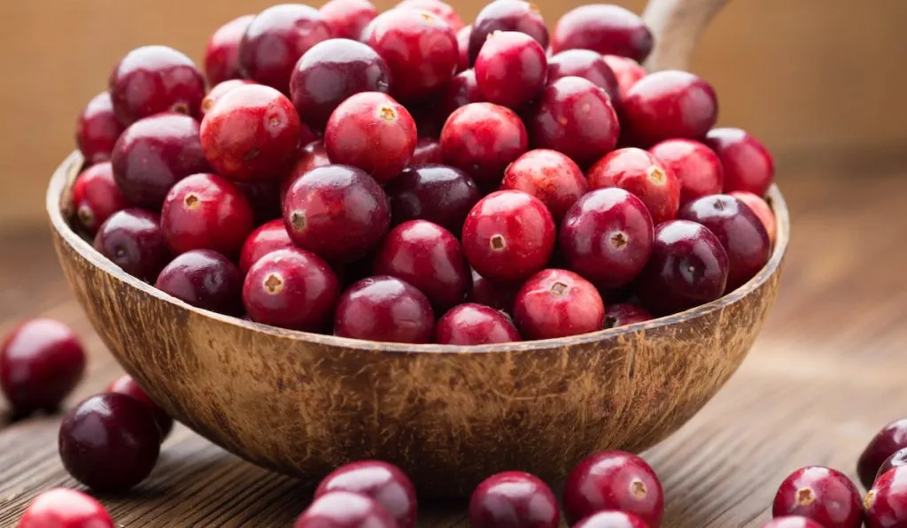 Cranberries on wooden bowl 