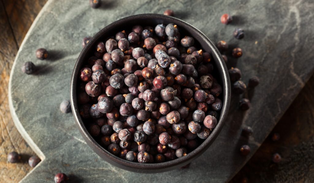 Raw Organic Juniper Berries on a dark colored bowl