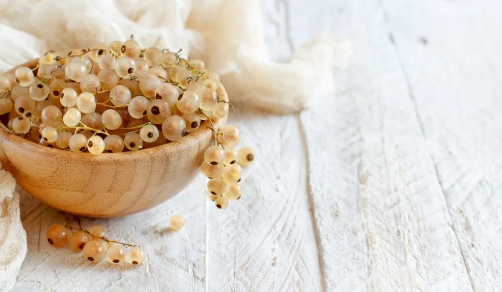 Ripe white currant berries in a bowl on wooden table 