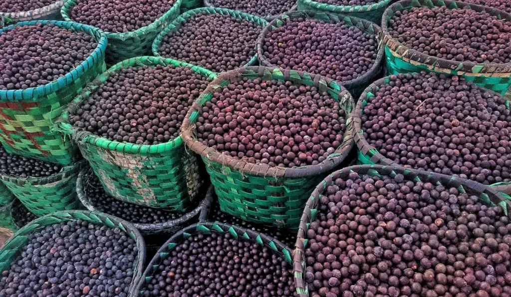 acai berries in a market